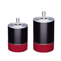 RPX52: 52 mm Brushless DC Motor